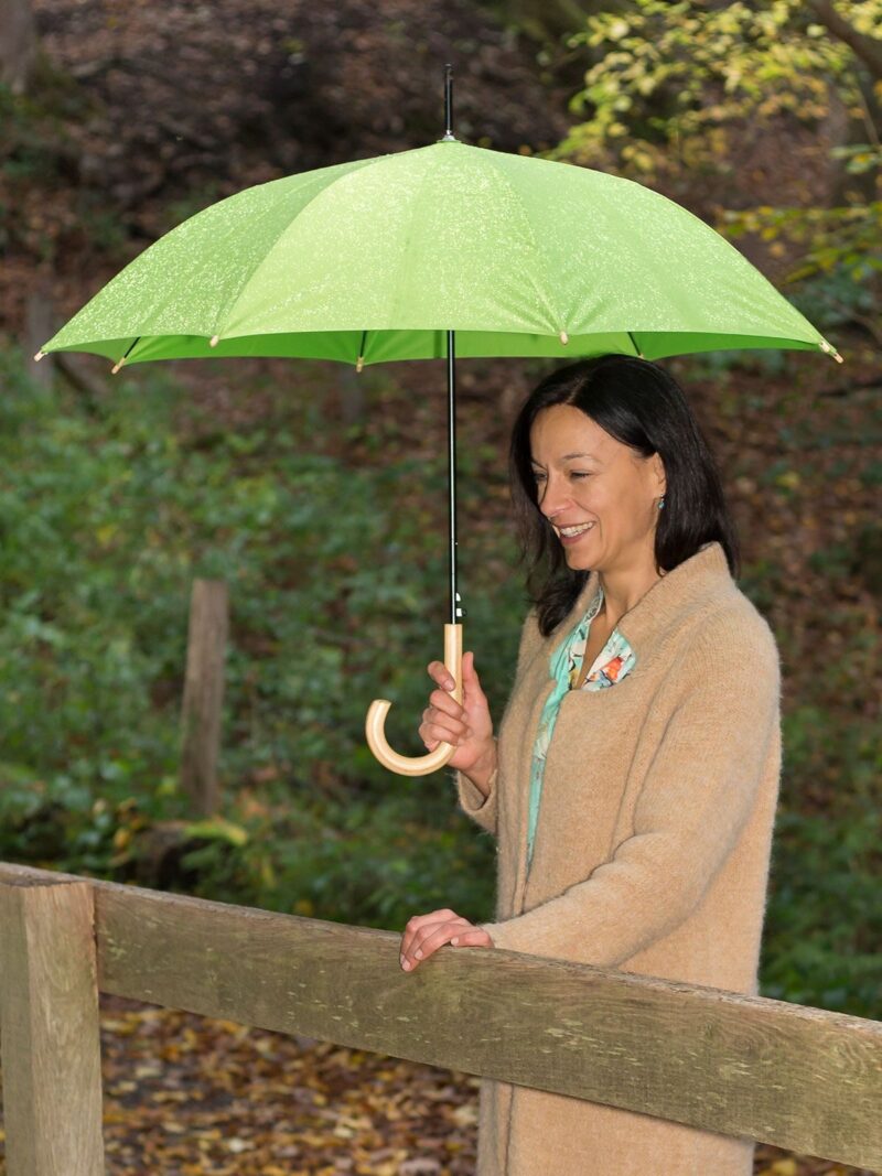 Parapluie standard automatique VERT mannequin