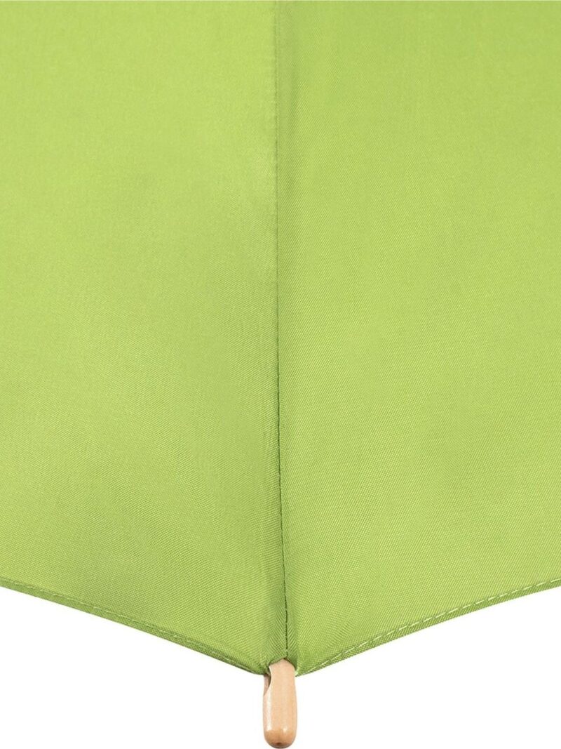 Parapluie standard automatique VERT surface